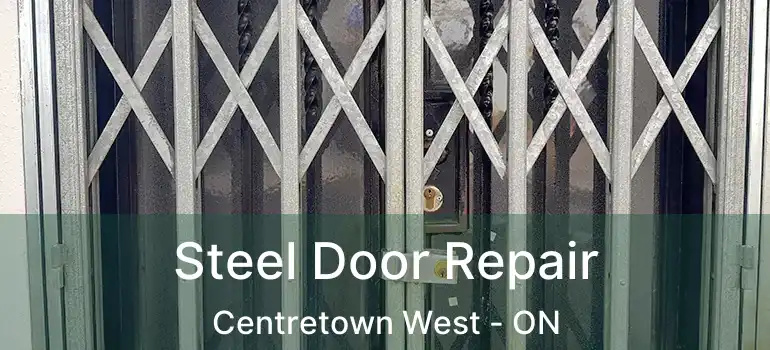  Steel Door Repair Centretown West - ON