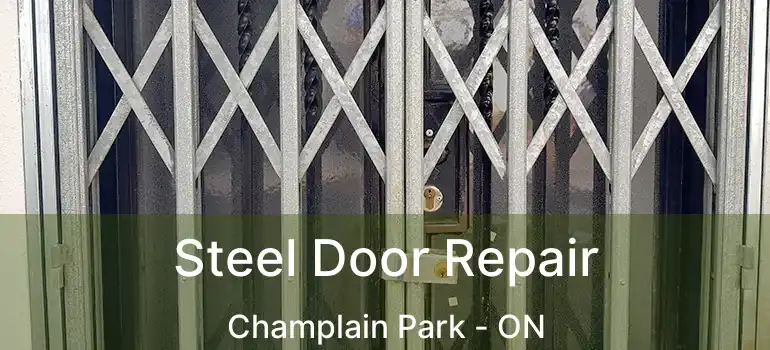  Steel Door Repair Champlain Park - ON