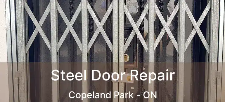  Steel Door Repair Copeland Park - ON