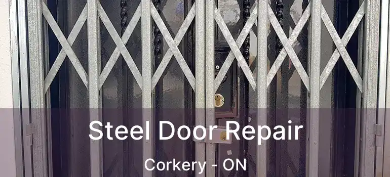  Steel Door Repair Corkery - ON