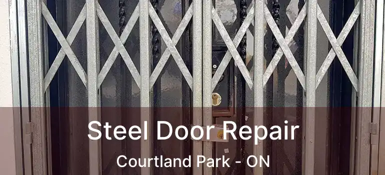  Steel Door Repair Courtland Park - ON