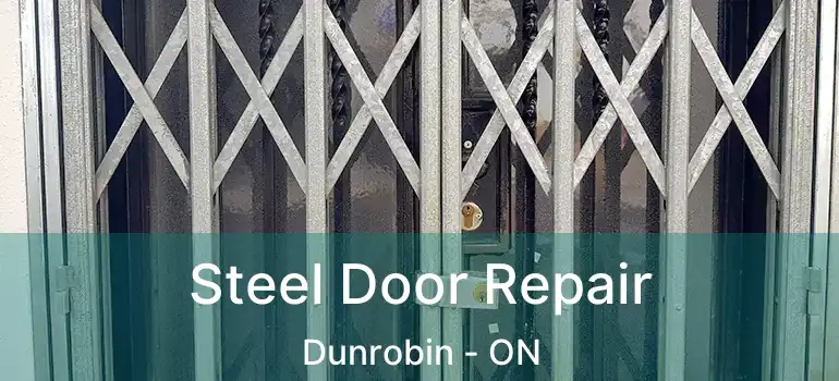  Steel Door Repair Dunrobin - ON