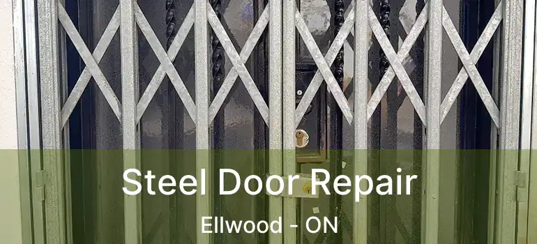  Steel Door Repair Ellwood - ON