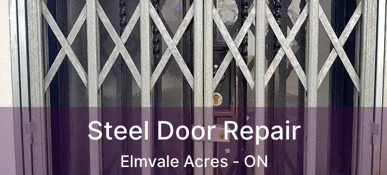  Steel Door Repair Elmvale Acres - ON