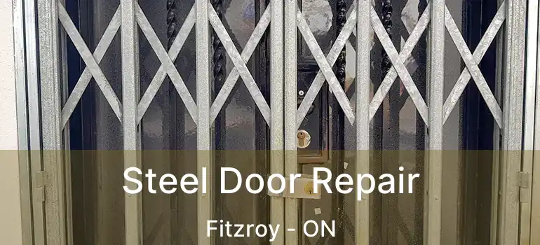  Steel Door Repair Fitzroy - ON