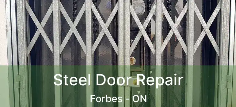  Steel Door Repair Forbes - ON