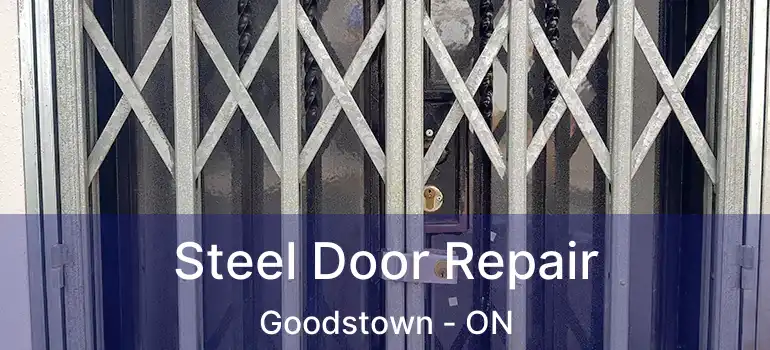  Steel Door Repair Goodstown - ON