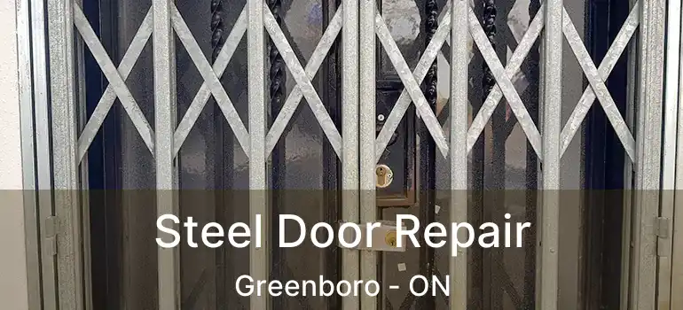  Steel Door Repair Greenboro - ON