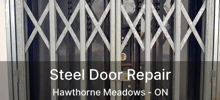  Steel Door Repair Hawthorne Meadows - ON