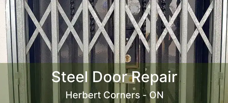  Steel Door Repair Herbert Corners - ON