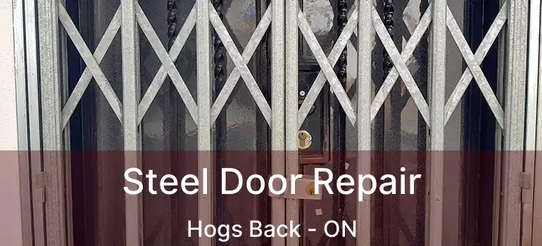  Steel Door Repair Hogs Back - ON