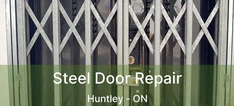  Steel Door Repair Huntley - ON