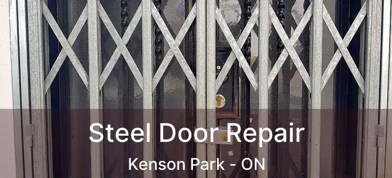  Steel Door Repair Kenson Park - ON