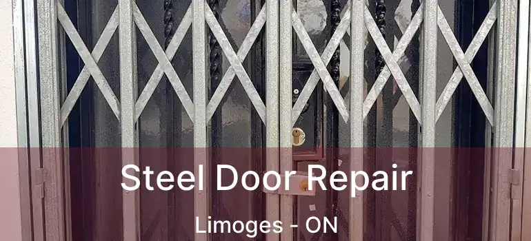  Steel Door Repair Limoges - ON