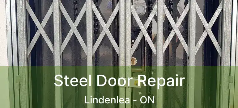  Steel Door Repair Lindenlea - ON