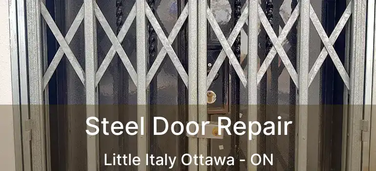  Steel Door Repair Little Italy Ottawa - ON