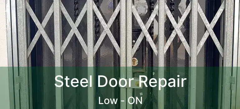  Steel Door Repair Low - ON