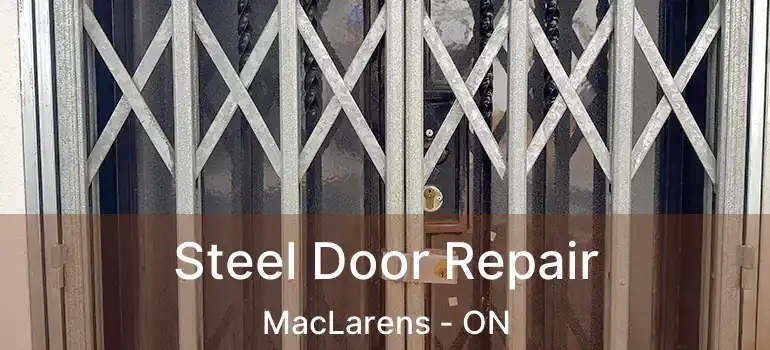  Steel Door Repair MacLarens - ON