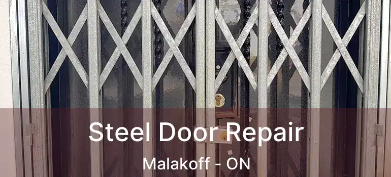  Steel Door Repair Malakoff - ON