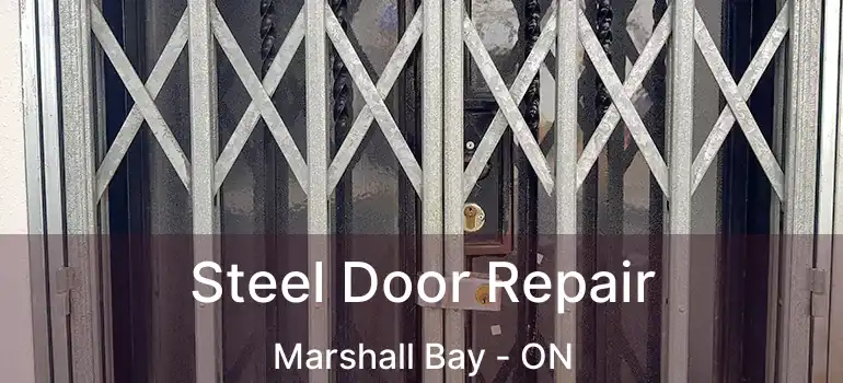  Steel Door Repair Marshall Bay - ON