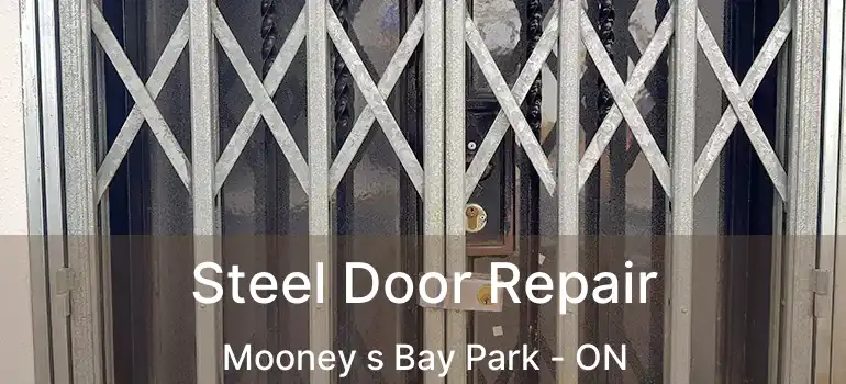  Steel Door Repair Mooney s Bay Park - ON