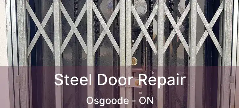  Steel Door Repair Osgoode - ON