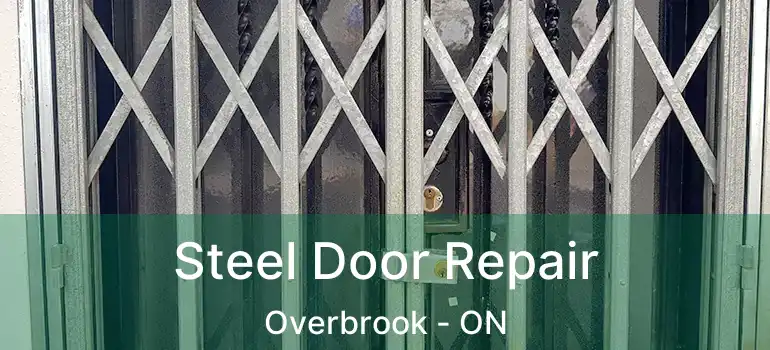  Steel Door Repair Overbrook - ON