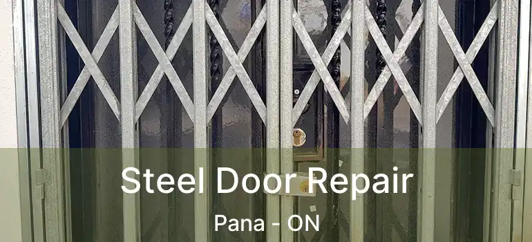  Steel Door Repair Pana - ON