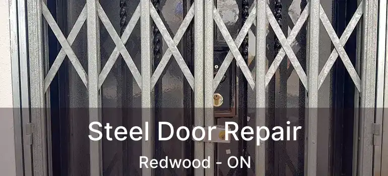  Steel Door Repair Redwood - ON