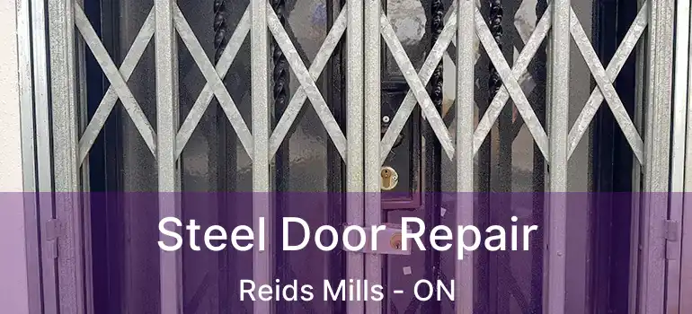  Steel Door Repair Reids Mills - ON