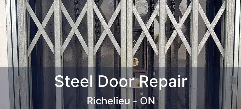  Steel Door Repair Richelieu - ON