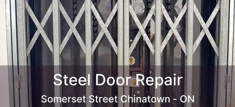  Steel Door Repair Somerset Street Chinatown - ON