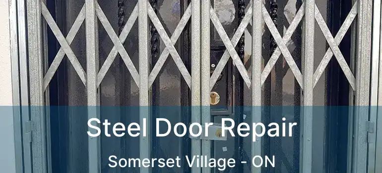  Steel Door Repair Somerset Village - ON