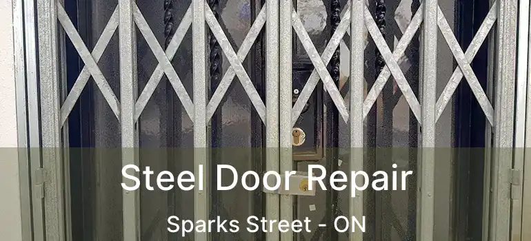  Steel Door Repair Sparks Street - ON