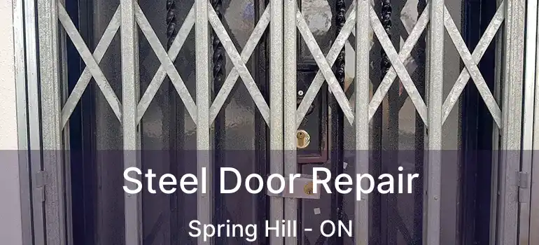  Steel Door Repair Spring Hill - ON