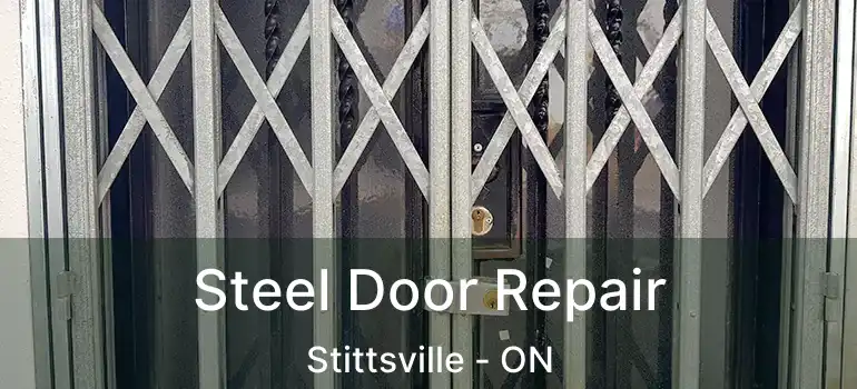  Steel Door Repair Stittsville - ON