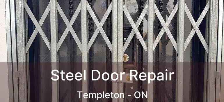  Steel Door Repair Templeton - ON