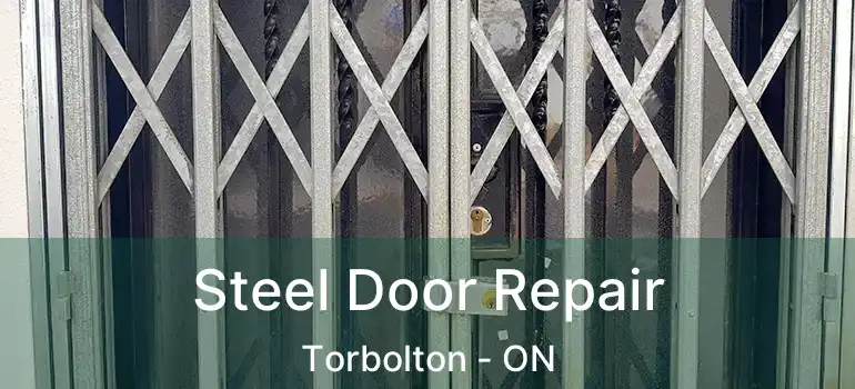  Steel Door Repair Torbolton - ON