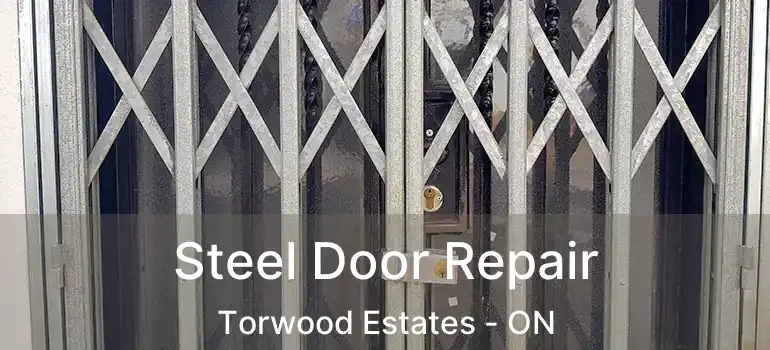  Steel Door Repair Torwood Estates - ON