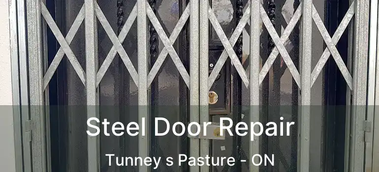  Steel Door Repair Tunney s Pasture - ON