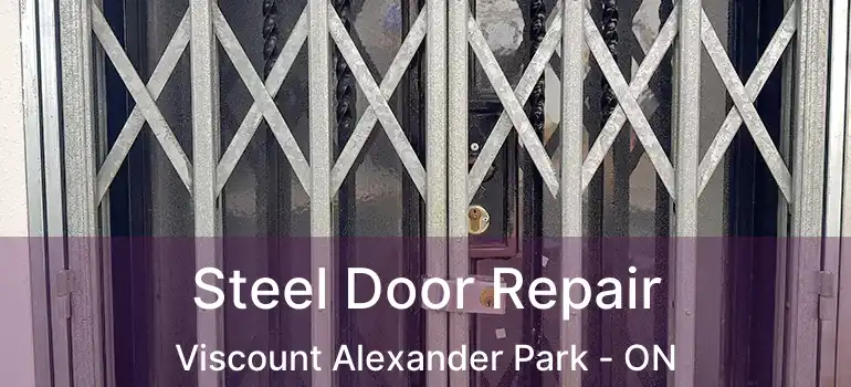  Steel Door Repair Viscount Alexander Park - ON