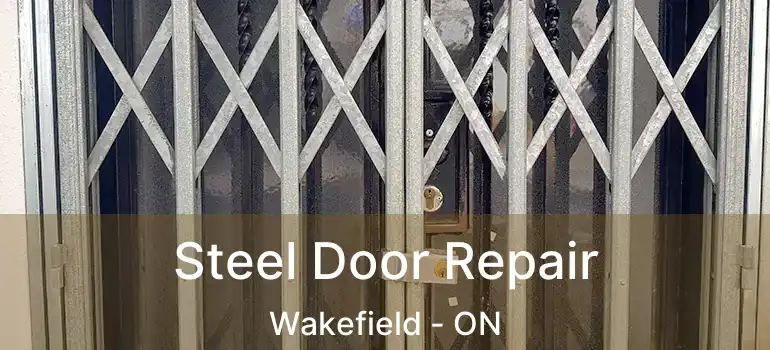  Steel Door Repair Wakefield - ON