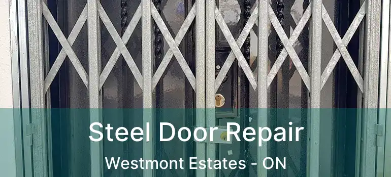  Steel Door Repair Westmont Estates - ON