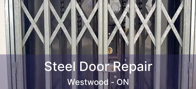  Steel Door Repair Westwood - ON