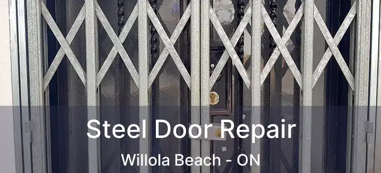  Steel Door Repair Willola Beach - ON