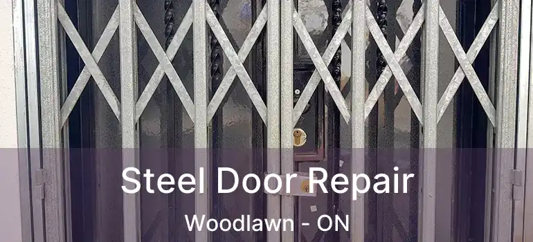  Steel Door Repair Woodlawn - ON