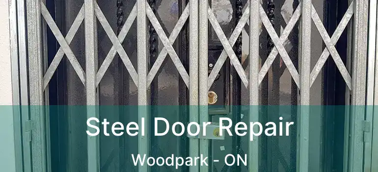  Steel Door Repair Woodpark - ON