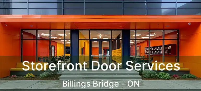  Storefront Door Services Billings Bridge - ON