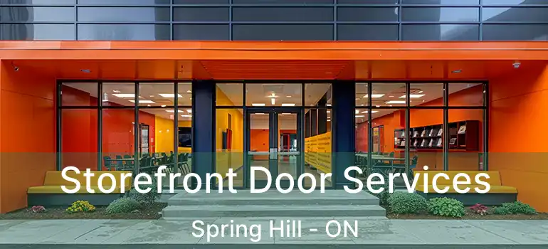  Storefront Door Services Spring Hill - ON