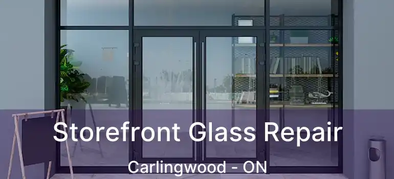  Storefront Glass Repair Carlingwood - ON